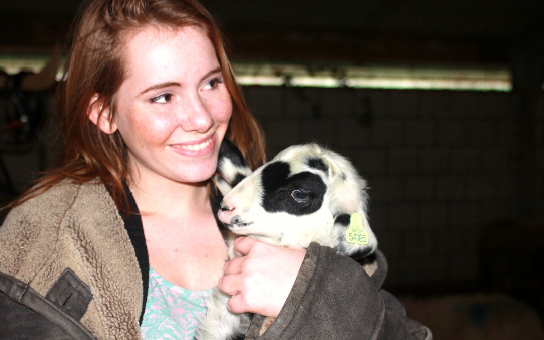 Lammetjesdag Leusden