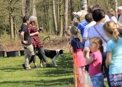 16537415294_c6c34a9ac7_z