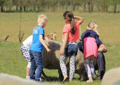 16537566174_13eb0f0133_z