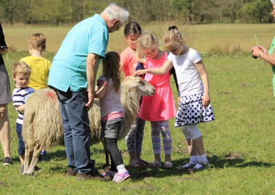 16952530397_390d577998_z