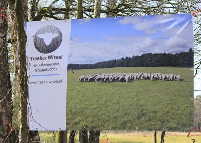 16972534570_5b0e6103b8_z