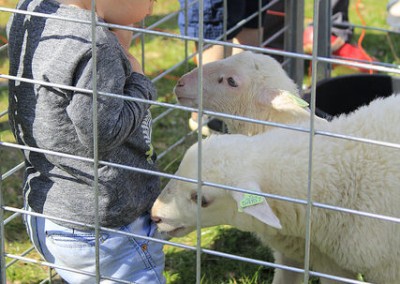 16972538300_aa565b3436_z