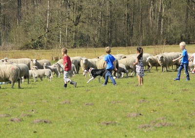 16973742349_e787764c77_z