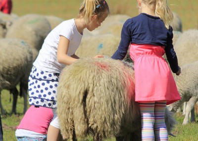 17159359651_8eb04b1314_z