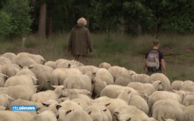 In de RTL-nieuws uitzending
